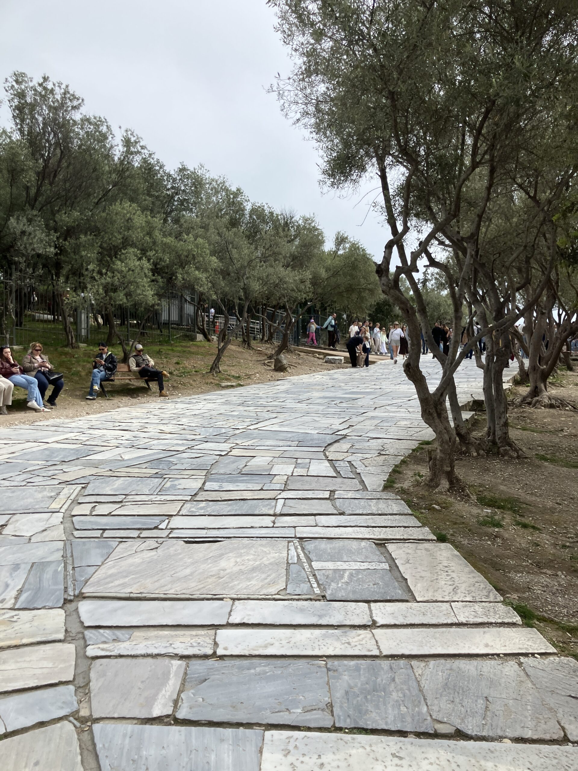 アクロポリスへの石畳の道とオリーブの木